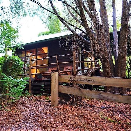 Black Cockatoo Lodge Nannup Bagian luar foto