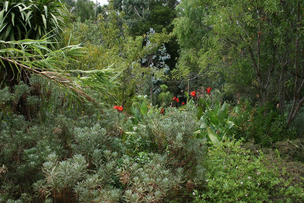Black Cockatoo Lodge Nannup Bagian luar foto
