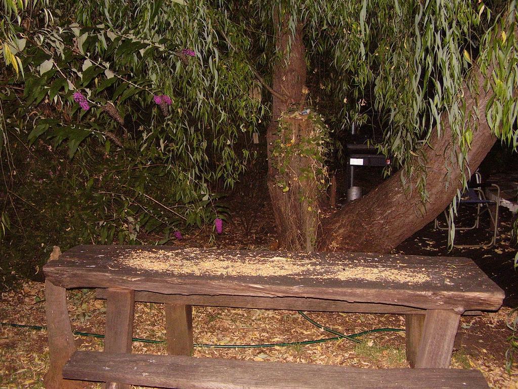 Black Cockatoo Lodge Nannup Bagian luar foto
