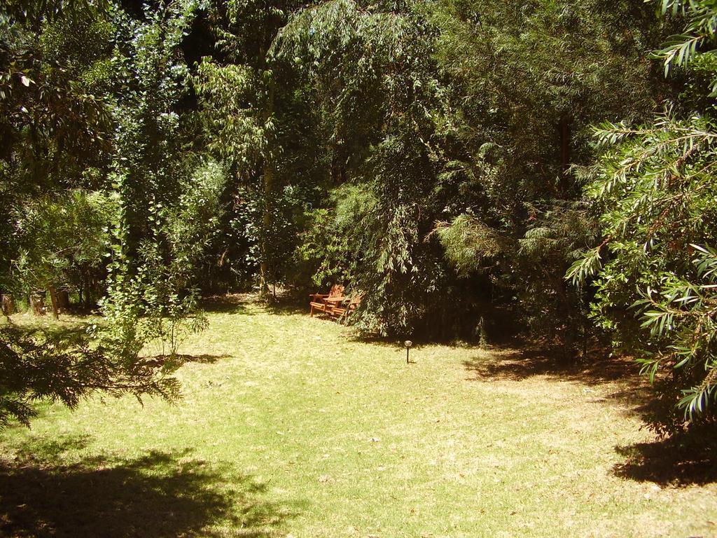 Black Cockatoo Lodge Nannup Bagian luar foto
