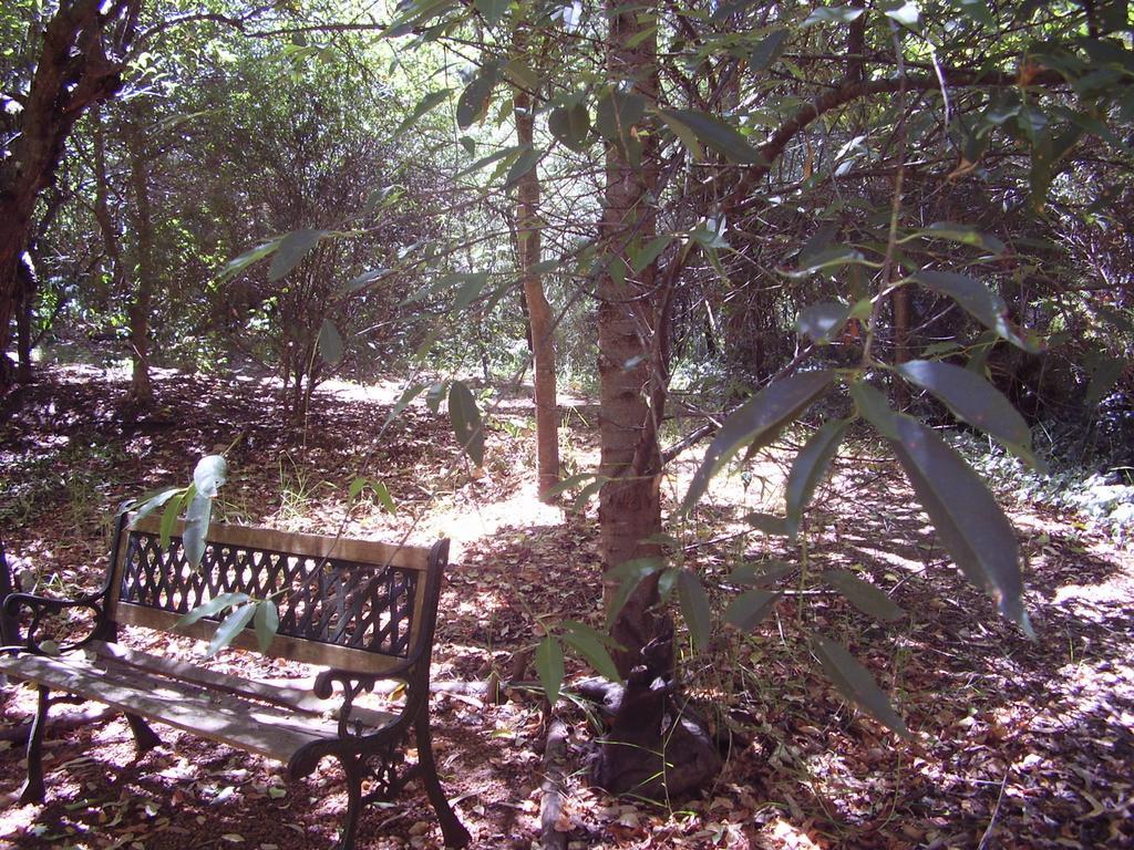 Black Cockatoo Lodge Nannup Bagian luar foto