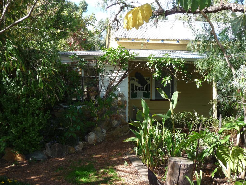 Black Cockatoo Lodge Nannup Bagian luar foto