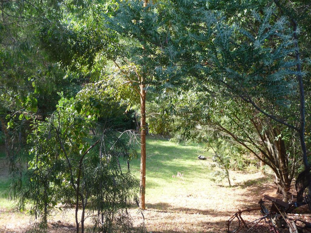 Black Cockatoo Lodge Nannup Bagian luar foto