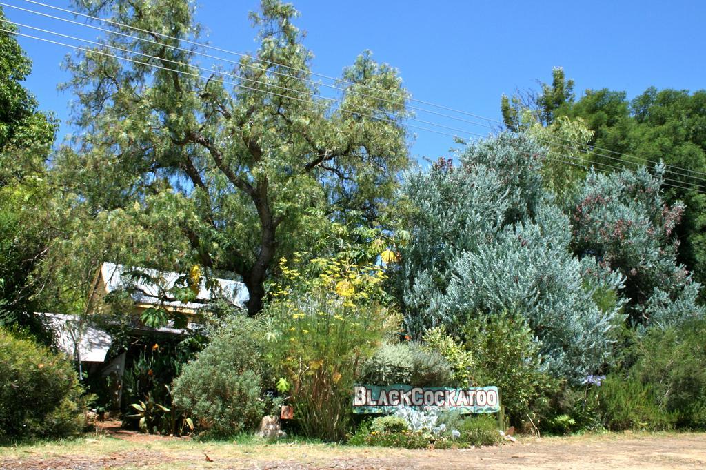 Black Cockatoo Lodge Nannup Bagian luar foto